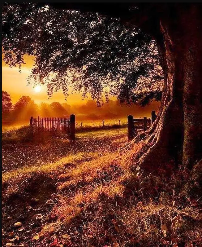 GATYZTORY 5D DIY Diamond Painting Sunset Landscape Full Square Drill Cross Stitch Embroidery Sale Rhinestone Home Decor Gift
GATYZTORY 5D DIY Diamond Painting Sunset Landscape Full Square Drill Cross Stitch Embroidery Sale Rhinestone Home Decor Gift