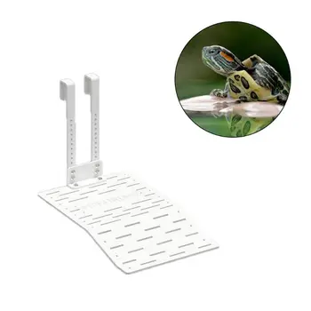 Turtle Basking Floating Platform Turtles Climbing Dock Crawling Rest Island
Turtle Basking Floating Platform Turtles Climbing Dock Crawling Rest Island