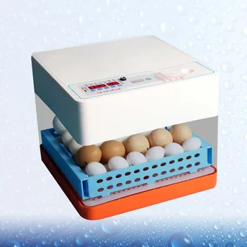 20 Grids Mini Eggs Incubator Fully Automatic Eggs Poultry Hatcher Home Incubator with EU Plug White
20 Grids Mini Eggs Incubator Fully Automatic Eggs Poultry Hatcher Home Incubator with EU Plug White