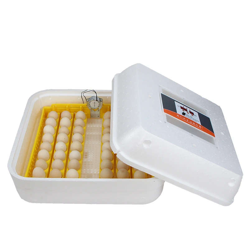 Incubator Automatic Household Water Bed Incubator Chicken Small Intelligent Bird Egg Hatching Incubator
Incubator Automatic Household Water Bed Incubator Chicken Small Intelligent Bird Egg Hatching Incubator