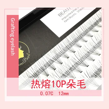 10p Graft Eyelashes Hot Melt Flower Hair Single Cluster 10 Root 0.07 Natural Densely Face Makeup Makeup Mink single lashes
10p Graft Eyelashes Hot Melt Flower Hair Single Cluster 10 Root 0.07 Natural Densely Face Makeup Makeup Mink single lashes