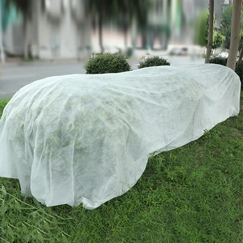 Non Woven Fabric Crops Agriculture Backyard Cold Weather Balcony Home Freeze Protection Plant Cover Outdoor Garden Winter
Non Woven Fabric Crops Agriculture Backyard Cold Weather Balcony Home Freeze Protection Plant Cover Outdoor Garden Winter