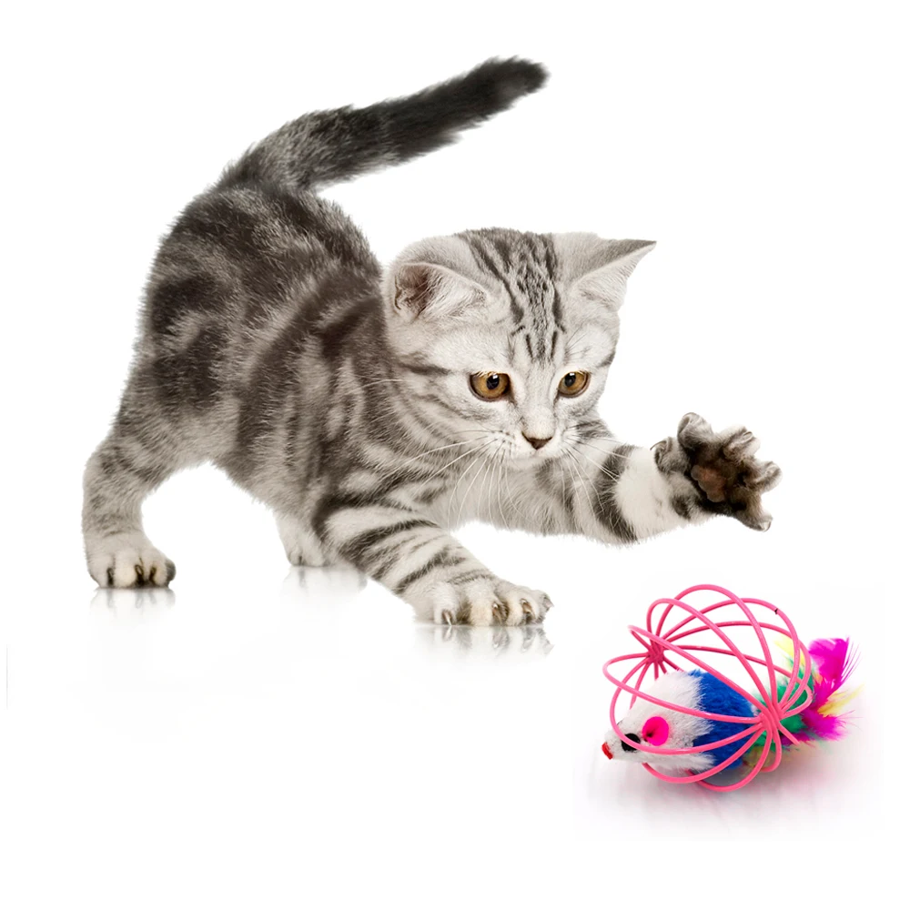 

6.2cm Funny Pet Kitten Cat Toys Playing Artificial Feather Mouse Rat Mice Ball Cage Cute Plush Toy Pet Accessories Dropshipping