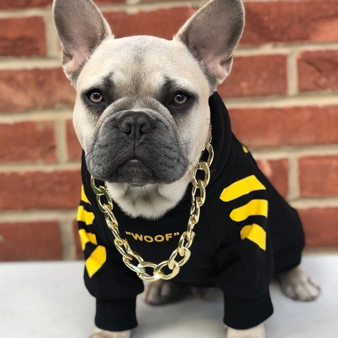 Frenchie hoodie for dog Outlet