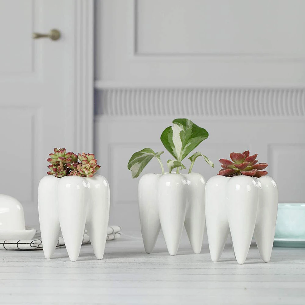 Creative Tooth Ceramic Succulent Plant Flower Pot Home and Garden Decor Mini Succulent Pots Plant Container Valentine's Day Gift
Creative Tooth Ceramic Succulent Plant Flower Pot Home and Garden Decor Mini Succulent Pots Plant Container Valentine's Day Gift