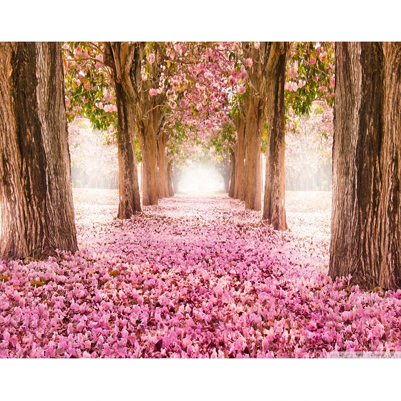 GATYZTORY Painting By Numbers For Adults Cherry blossom road Frameless Digital Paint By Numbers On Canvas DIY Home Decor Gift
GATYZTORY Painting By Numbers For Adults Cherry blossom road Frameless Digital Paint By Numbers On Canvas DIY Home Decor Gift