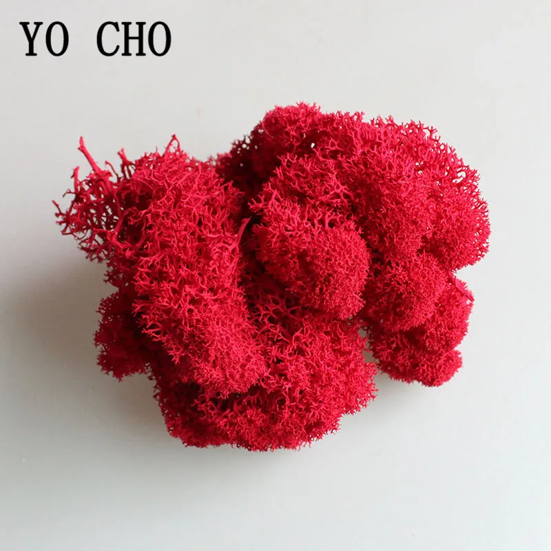 YO CHO 1Bag 10g Dried Reindeer Moss Natural Reindeer Moss Preserved Dried Artificial Craft Immortal Flower Wedding Decor Flowers
YO CHO 1Bag 10g Dried Reindeer Moss Natural Reindeer Moss Preserved Dried Artificial Craft Immortal Flower Wedding Decor Flowers