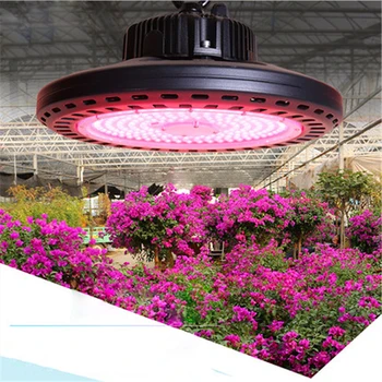 New Full Spectrum Plant Growth Lamp High-quality Indoor Vegetable Greenhouse Balcony Home LED Plant Growth Light 220V 180W WEN-
New Full Spectrum Plant Growth Lamp High-quality Indoor Vegetable Greenhouse Balcony Home LED Plant Growth Light 220V 180W WEN-