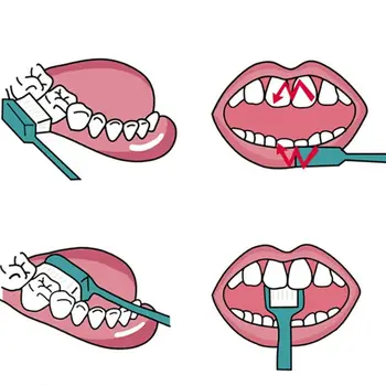 3 Pcs/set Elastic Gums Care Tooth Cleaning Soft Fine Tip Soft Bristle Brush Adult Toothbrush GXMC
3 Pcs/set Elastic Gums Care Tooth Cleaning Soft Fine Tip Soft Bristle Brush Adult Toothbrush GXMC