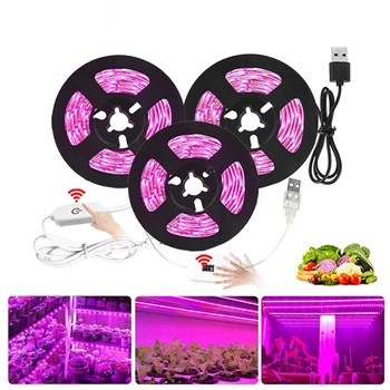 Grow LED Strips Full Spectrum Light Indoor Growing Lamps Lamp For plant SMD2835 5V USB Phyto Tape Led Flower Aquarium Grow Light
Grow LED Strips Full Spectrum Light Indoor Growing Lamps Lamp For plant SMD2835 5V USB Phyto Tape Led Flower Aquarium Grow Light