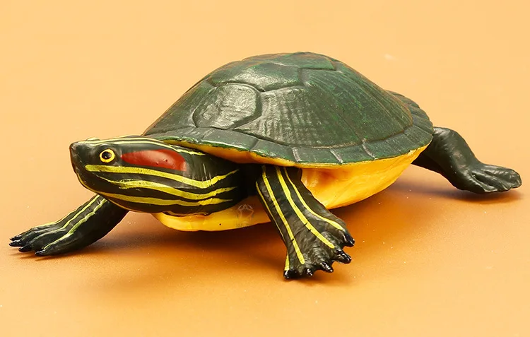 Boutique Solid Model Toy Animals Brazilian Turtle Wild Turtle Garage Kit Children Early Educational Teaching Aid
Boutique Solid Model Toy Animals Brazilian Turtle Wild Turtle Garage Kit Children Early Educational Teaching Aid