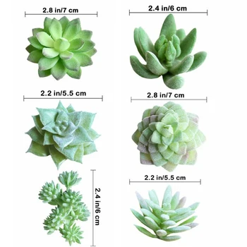 11pcs Simulation Succulent Bonsai Home Office Tabletop Desktop Decorations Lifelike Ornament Display Artificial Plants
11pcs Simulation Succulent Bonsai Home Office Tabletop Desktop Decorations Lifelike Ornament Display Artificial Plants