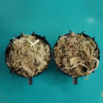 Reusable Plant Rooting Device Plant Rooting Grow Box High Pressure Propagation Ball Grafting Device HFing
Reusable Plant Rooting Device Plant Rooting Grow Box High Pressure Propagation Ball Grafting Device HFing