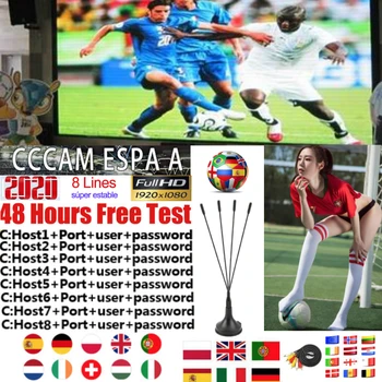 2020 Spain Cccam espa a server hd stable Europe 8 lines Portugal/Poland/Italia 1 year 2 year tv cinebox satellite receptor