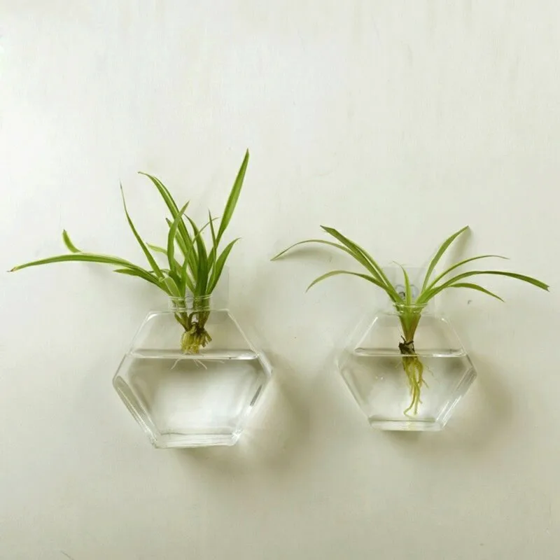 Creative Wall Hanging Flower Vase Iron Glass Hydroponics Planter Pot Transparent Hanging Flower Bottle Home Ornament Decoration
Creative Wall Hanging Flower Vase Iron Glass Hydroponics Planter Pot Transparent Hanging Flower Bottle Home Ornament Decoration
