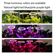 

Led Plant Light Indoor Flower And Grass Growth Light Aquarium Planting Gardening Full-Spectrum Fill Lamp Greenhouse Nursery Seed