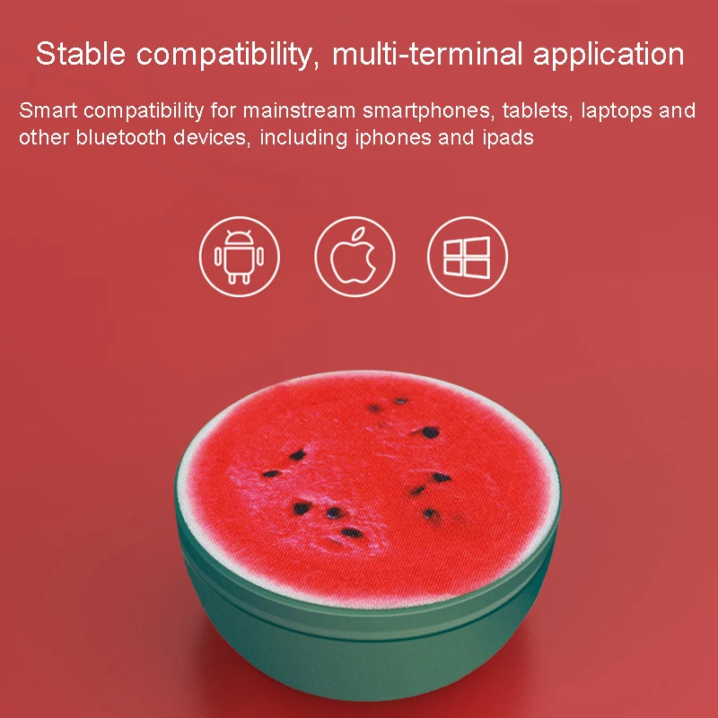 watermelon shower speaker