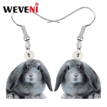 WEVENI Acrylic Gray Easter Hare Rabbit Bunny Earrings Farm Animal Dangle Drop Jewelry For Women Girl Festival Gift Accessories
WEVENI Acrylic Gray Easter Hare Rabbit Bunny Earrings Farm Animal Dangle Drop Jewelry For Women Girl Festival Gift Accessories