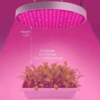 Phyto Lamp 50W LED Grow Light 250 LEDs AC85-265V Full Spectrum Fitolampy For Indoor Greenhouse Hydroponics Flower Plant Light
Phyto Lamp 50W LED Grow Light 250 LEDs AC85-265V Full Spectrum Fitolampy For Indoor Greenhouse Hydroponics Flower Plant Light