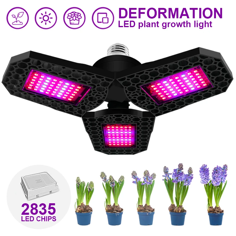 2835 Greenhouse Hydroponic System Indoor Plant Light E27 Plant Growth Light LED Plant Growth Light LED Plant Growth Light Panel
2835 Greenhouse Hydroponic System Indoor Plant Light E27 Plant Growth Light LED Plant Growth Light LED Plant Growth Light Panel