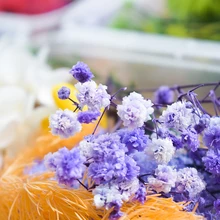 Eternal Flower Artificial Flower Bouquet Of Dried Flowers Natural Simulation Flowers Material Handmade Everlasting
Eternal Flower Artificial Flower Bouquet Of Dried Flowers Natural Simulation Flowers Material Handmade Everlasting