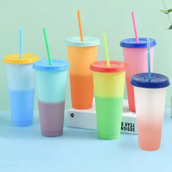 2020 Best 700ml Reusable Color Changing Cold Water Bottles Coffee Mugs Straw Cups With Lid Plastic Tumbler Cup
2020 Best 700ml Reusable Color Changing Cold Water Bottles Coffee Mugs Straw Cups With Lid Plastic Tumbler Cup