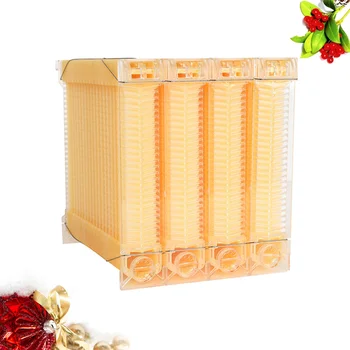 1 PC Beekeeping Box Practical Plastic Auto Dripping Portable Beekeeping Supplies for Farm Beekeeper
1 PC Beekeeping Box Practical Plastic Auto Dripping Portable Beekeeping Supplies for Farm Beekeeper