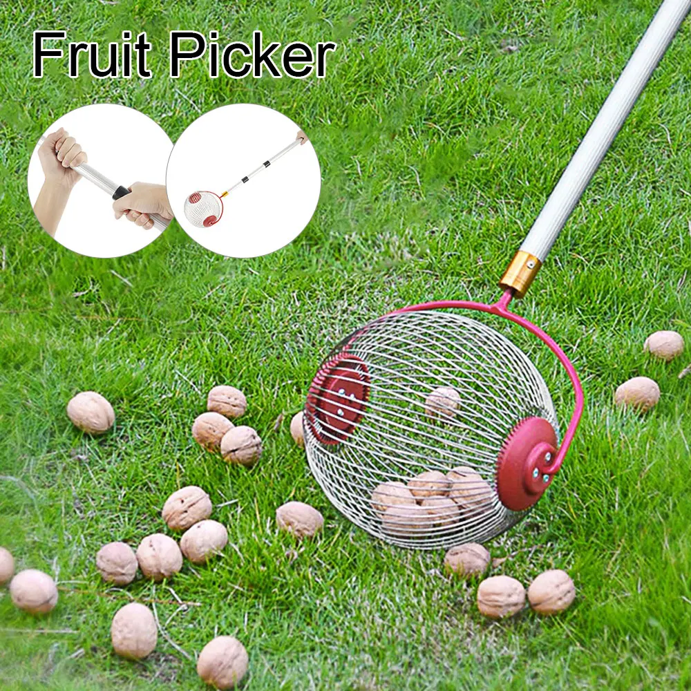 Multifunctional Nut and Fruit Picker Garden Tool Pick Up Easy Operate Universal Rolling Harvester Nut Collector Long Handle Tool
Multifunctional Nut and Fruit Picker Garden Tool Pick Up Easy Operate Universal Rolling Harvester Nut Collector Long Handle Tool