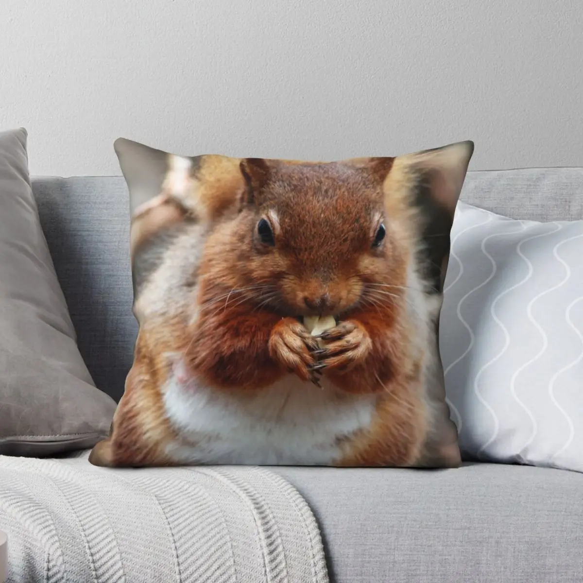 

Hungry Red Squirrel Square Pillowcase Polyester Linen Velvet Pattern Zip Decor Pillow Case Car Cushion Cover Wholesale