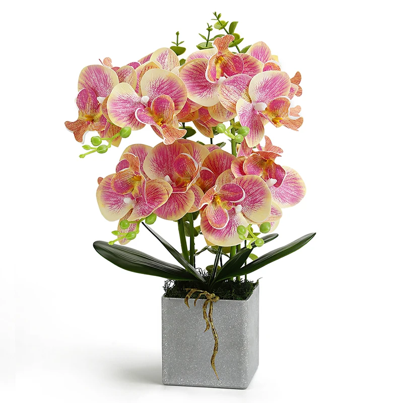 3D Printing Orchid Fake Flowers With Pot,High Quality Butterfly Artificial Orchid Eucalyptus Bonsai Flowers Home Garden Decor
3D Printing Orchid Fake Flowers With Pot,High Quality Butterfly Artificial Orchid Eucalyptus Bonsai Flowers Home Garden Decor