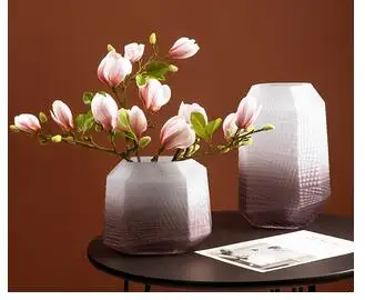 PINK GRADIENT FROSTED GLASS VASE FLORAL DESK DECORATION GEOMETRIC STRIPE FLOWER ARRANGEMENT HOME DECOR MODERN VASES FOR FLOWERS
PINK GRADIENT FROSTED GLASS VASE FLORAL DESK DECORATION GEOMETRIC STRIPE FLOWER ARRANGEMENT HOME DECOR MODERN VASES FOR FLOWERS