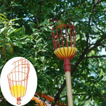 Fruit Picker Basket Catcher Picking Fresh Orange Garden Tools for Broom Pole Stick GHS99
Fruit Picker Basket Catcher Picking Fresh Orange Garden Tools for Broom Pole Stick GHS99
