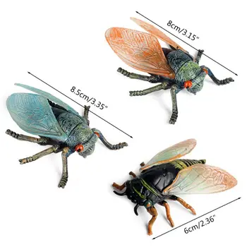 3pcsSimulation Solid Static Animal Model Ornament Realistic Insect Cicada Children Educational Prop Scene Decoration Kids Toy
3pcsSimulation Solid Static Animal Model Ornament Realistic Insect Cicada Children Educational Prop Scene Decoration Kids Toy