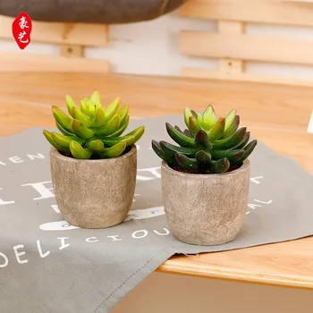 "039 gemneon lian" Artificial More Meat Plants Small Potted Plastic More Meat Artificial Flower Tree Ball
"039 gemneon lian" Artificial More Meat Plants Small Potted Plastic More Meat Artificial Flower Tree Ball