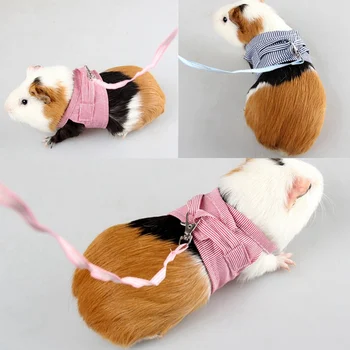 Small Pet Two-legged Chest Strap Outdoor Traction Rope Leash Clothes For Chinchilla Dutch Guinea Pig Breathable Cotton Corset 
Small Pet Two-legged Chest Strap Outdoor Traction Rope Leash Clothes For Chinchilla Dutch Guinea Pig Breathable Cotton Corset