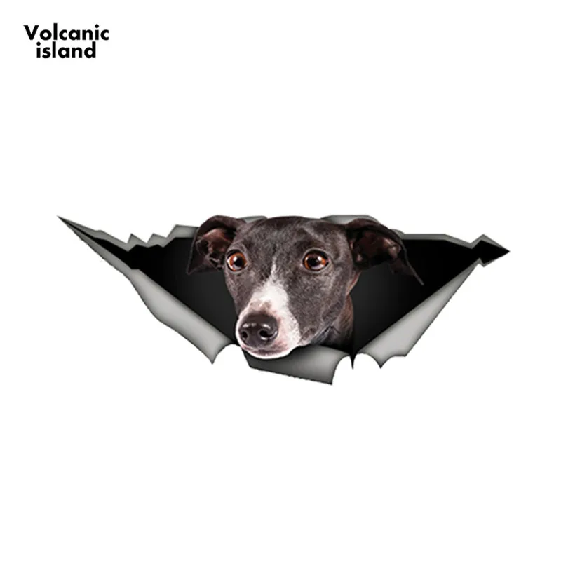 Funny Greyhound Car Sticker Torn Metal Decal Reflective Stickers Waterproof 3D Car Styling Pet Dog Decal 13cm x 4.9cm
Funny Greyhound Car Sticker Torn Metal Decal Reflective Stickers Waterproof 3D Car Styling Pet Dog Decal 13cm x 4.9cm