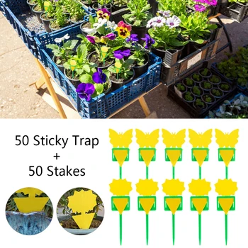 50sets Butterfly Polygon Shape Double-Sided Adhesive Board Fruit Fly Trap Yellow Sticky Flying Insects Sticker
50sets Butterfly Polygon Shape Double-Sided Adhesive Board Fruit Fly Trap Yellow Sticky Flying Insects Sticker