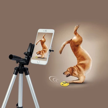 Professional Camera Tripod Stand Holder Mount for iPhone Samsung Cell Phone +Bag
Professional Camera Tripod Stand Holder Mount for iPhone Samsung Cell Phone +Bag