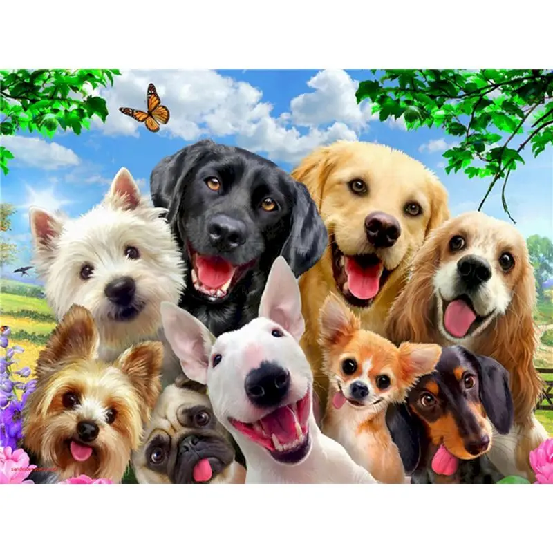 Gatyztory Dogs Frame DIY Painting By Numbers Handpainted Animal Oil Painting Modern Home Art Canvas Colouring 60x75cm
Gatyztory Dogs Frame DIY Painting By Numbers Handpainted Animal Oil Painting Modern Home Art Canvas Colouring 60x75cm
