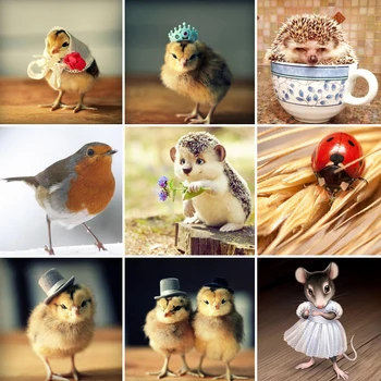 50x50 Diamond Painting lovely Animal Yellow chicken Full Square Drill 5D DIY Embroidery Mosaic Sale Rhinestone Art Home Decor 
50x50 Diamond Painting lovely Animal Yellow chicken Full Square Drill 5D DIY Embroidery Mosaic Sale Rhinestone Art Home Decor