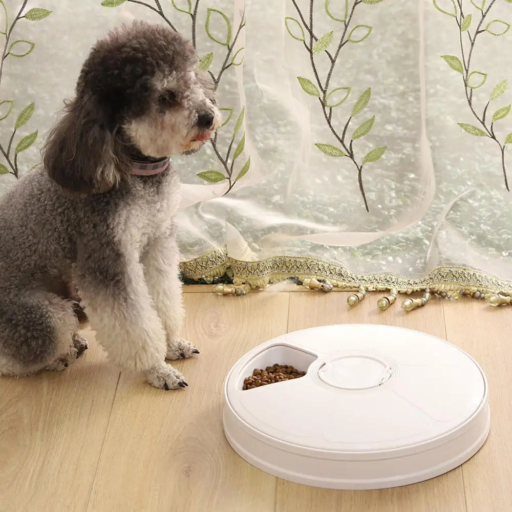 Auto Pet Feeder with Programmable Timer Dry and Wet LCD Smart Food Dispenser 6 Meals Trays with Control Automatic Cat Feeder
Auto Pet Feeder with Programmable Timer Dry and Wet LCD Smart Food Dispenser 6 Meals Trays with Control Automatic Cat Feeder