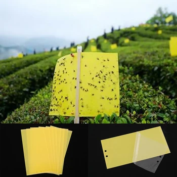 Two-Sided Strong Flies Traps Bugs Sticky Board Fly Bug Killer Insects Hang Catcher Buzz Fruit Mosquito Killer Insects Catcher
Two-Sided Strong Flies Traps Bugs Sticky Board Fly Bug Killer Insects Hang Catcher Buzz Fruit Mosquito Killer Insects Catcher