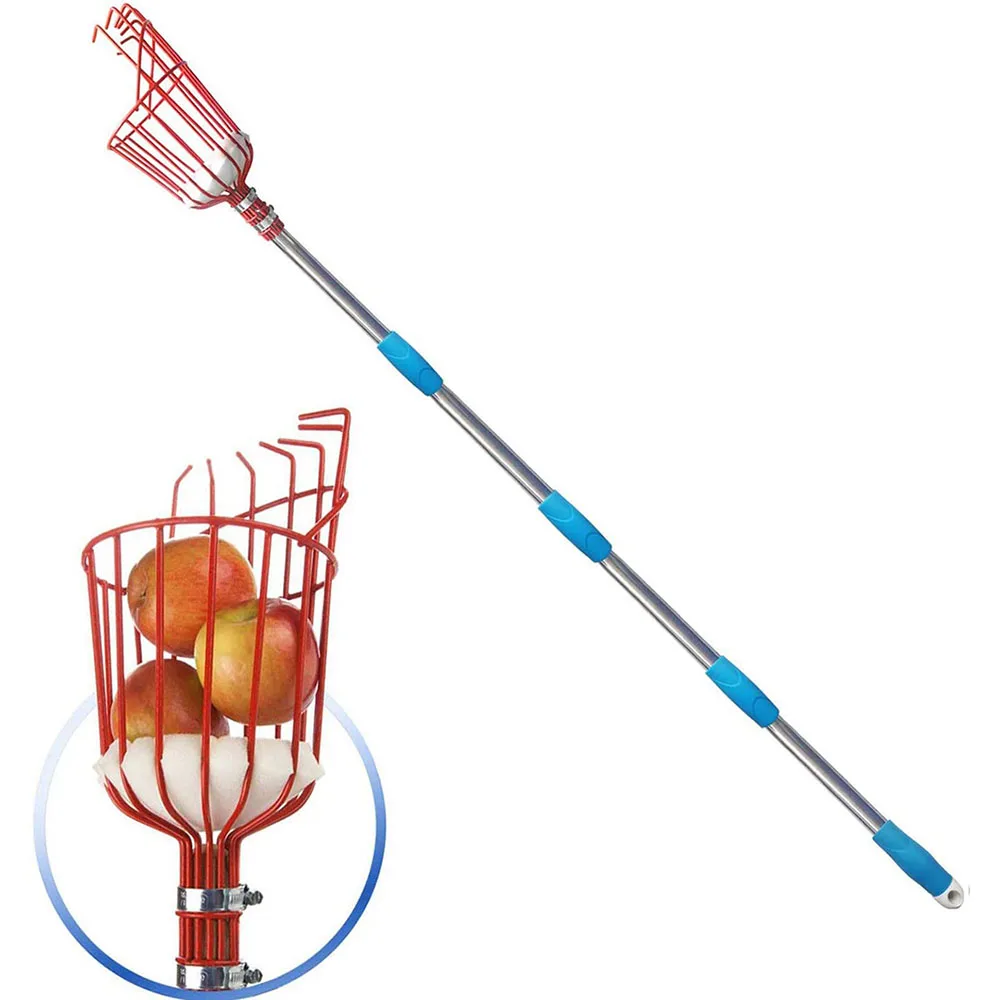 Fruit Picker 260cm Adjustable Deep Basket Convenient Harvesting Fruit Collector Catcher Apple Peach Picking Garden Tools
Fruit Picker 260cm Adjustable Deep Basket Convenient Harvesting Fruit Collector Catcher Apple Peach Picking Garden Tools