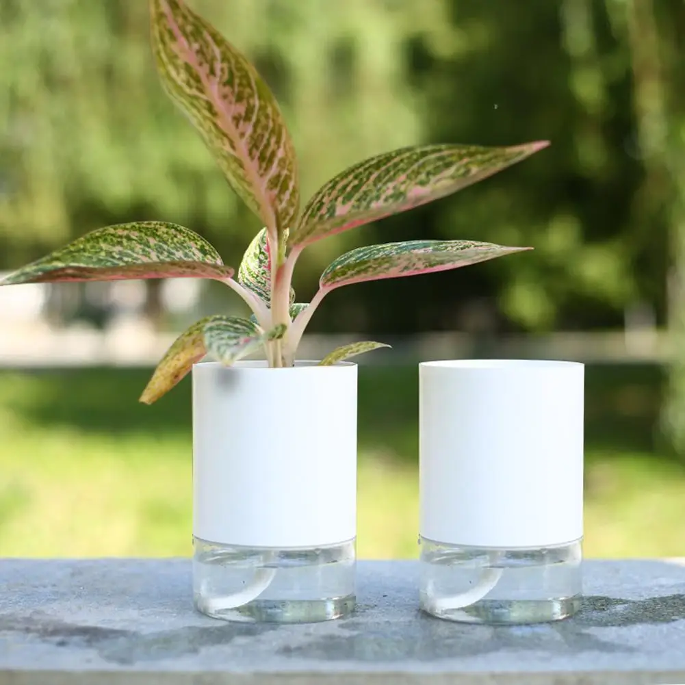 Double Layer Automatic Irrigation Hydroponics Plant Flower Pot Vases Planter Planter Pot Washable Flowerpot Creatived Desktop F
Double Layer Automatic Irrigation Hydroponics Plant Flower Pot Vases Planter Planter Pot Washable Flowerpot Creatived Desktop F