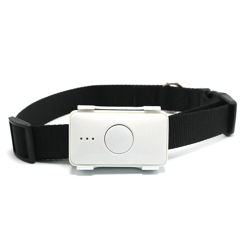 pet 4G GPS tracker LK105B 4G 900mAh worldwide use 4G GPS tracker for dog Magnet charging GPS locator
pet 4G GPS tracker LK105B 4G 900mAh worldwide use 4G GPS tracker for dog Magnet charging GPS locator