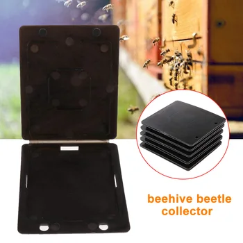 10pcs Beehive Beetle Collector Garden Catching Nest Cover Beekeeping Lid Hive Beehive Beetle Collector Tool Insect Trap
10pcs Beehive Beetle Collector Garden Catching Nest Cover Beekeeping Lid Hive Beehive Beetle Collector Tool Insect Trap