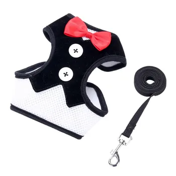 Fashion Bowknot Dog Harness With Leash Set For Dog Adjustable Puppy Chest Dog Harness Leads Set For Small Medium Pet Accessories
Fashion Bowknot Dog Harness With Leash Set For Dog Adjustable Puppy Chest Dog Harness Leads Set For Small Medium Pet Accessories