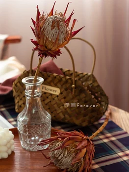 1pcs South Africa Imported High-End Emperor Dried Flower Home Retro Soft Flower Arrangement with Flower Material Hote
1pcs South Africa Imported High-End Emperor Dried Flower Home Retro Soft Flower Arrangement with Flower Material Hote