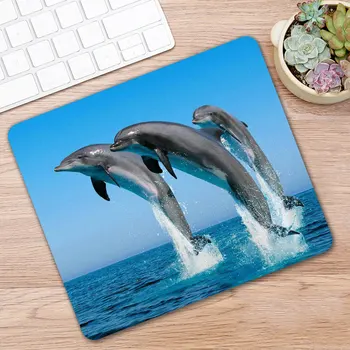 Hot Sale Animal Dolphin Small Size Pc Tablet Gamer Computer Laptop Mause Mouse Pad Mousepad Mice Mat Decorate Desk Keyboard
Hot Sale Animal Dolphin Small Size Pc Tablet Gamer Computer Laptop Mause Mouse Pad Mousepad Mice Mat Decorate Desk Keyboard