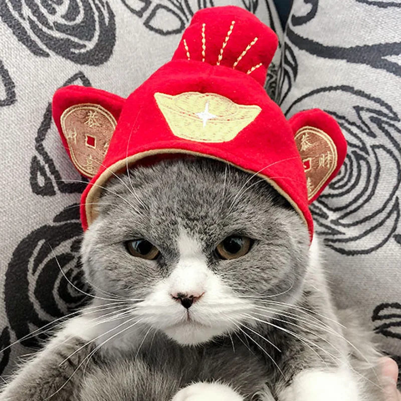 H487b98f3f64c47ff9e42cdaed452f70cF